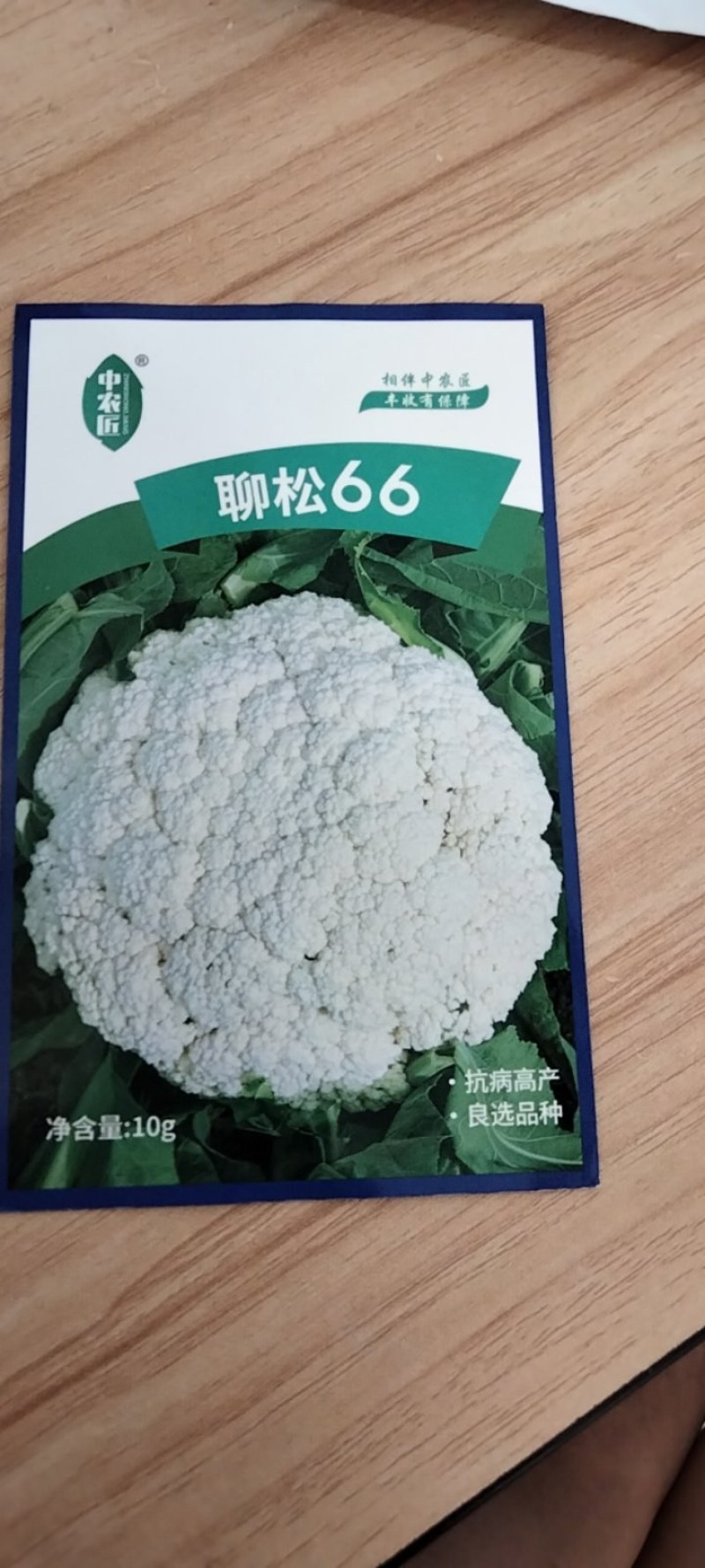 菜花种子，聊松66种子，有机散花，大花，68天-72天左