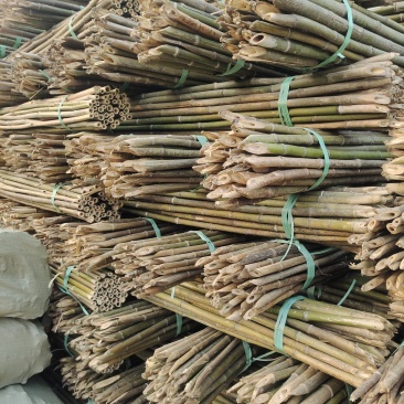 【量大从优】菜架竹旗杆植树杆西红柿架价格便宜质量好热卖中