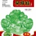 儿菜种子早胖娃早熟大角味道甜嫩