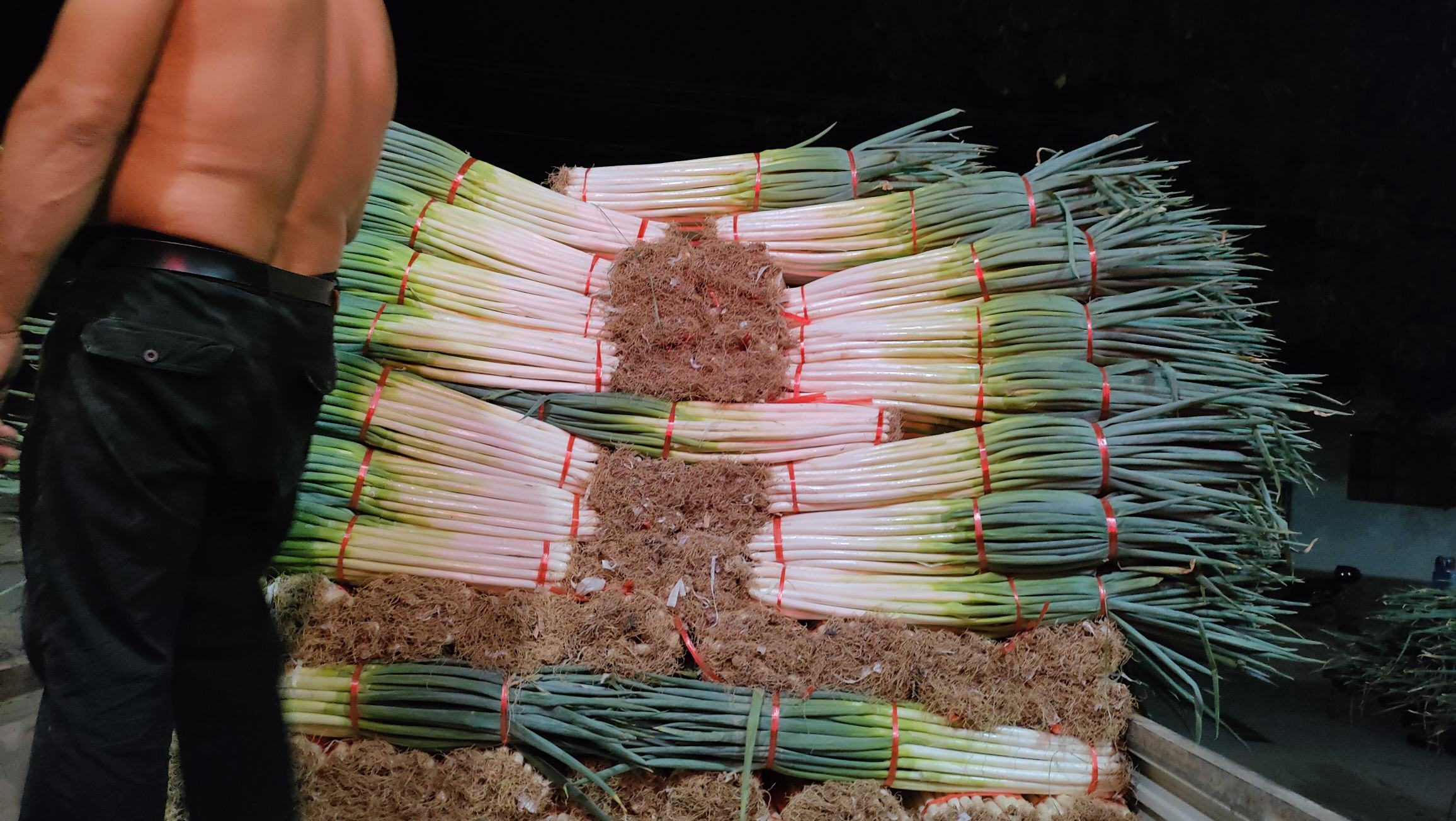 大葱营养成分表