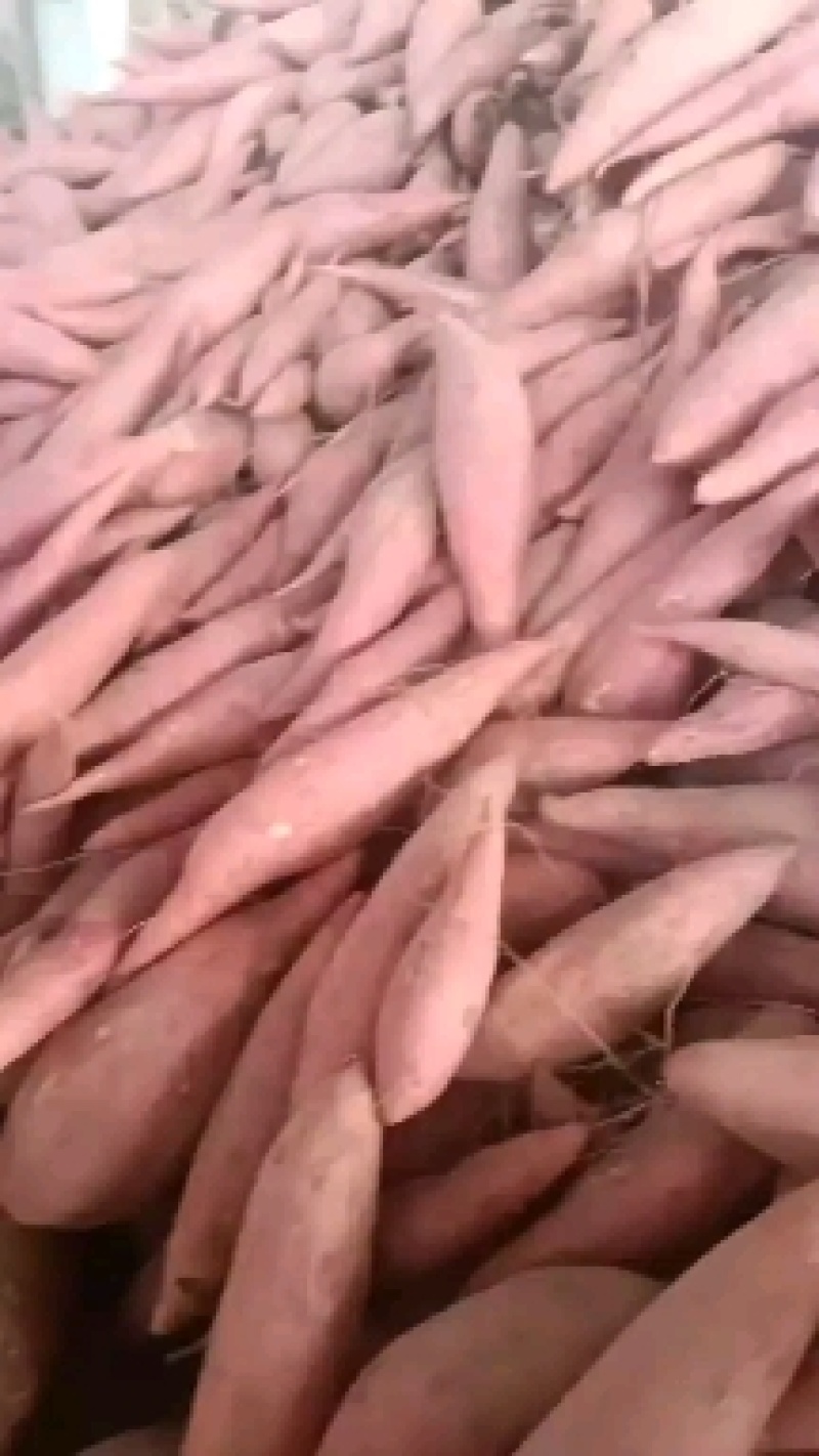 纯沙地西瓜红条形好颜色好糯甜，口感甜的很