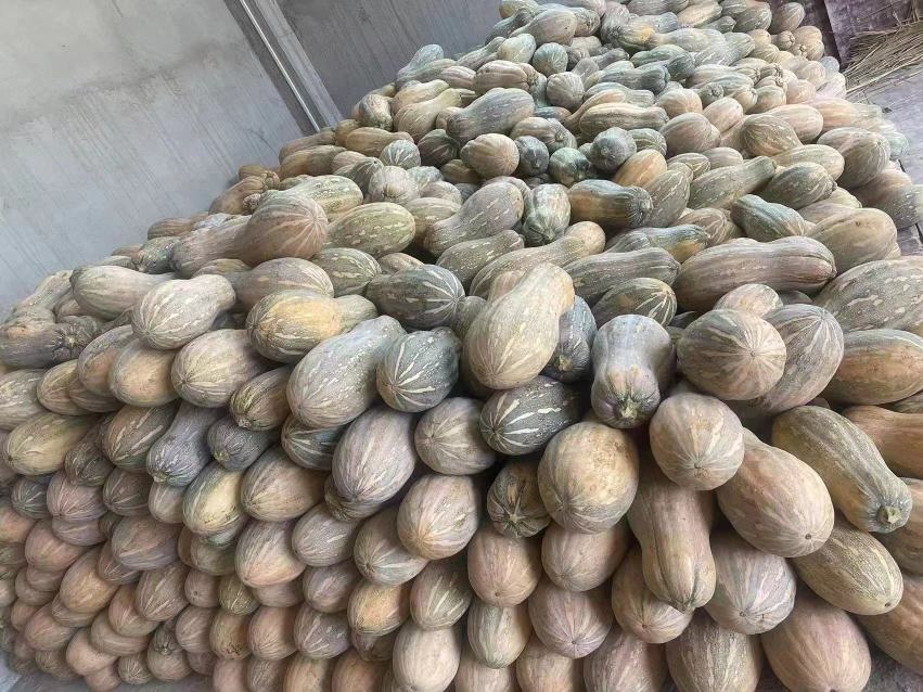 南瓜与其他常见农产品的磷含量柱状图