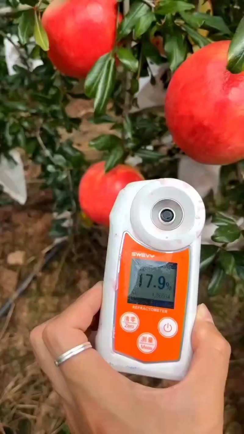 会理软籽石榴大量上市，物优价美，品质保证，走货便利