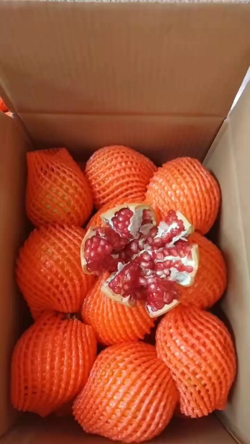 会理软籽石榴大量上市，物优价美，品质保证，走货便利