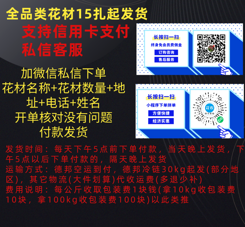 包邮优质采色星花AA级0.5kg高端顺丰空运/挑颜色备注
