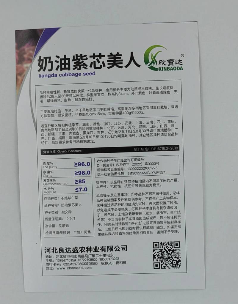 奶油紫芯美人白菜种子一代杂交生长速度快耐热耐湿易栽培