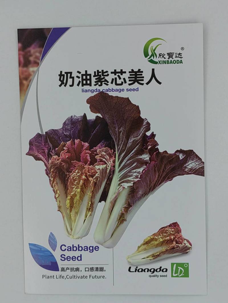 奶油紫芯美人白菜种子一代杂交生长速度快耐热耐湿易栽培