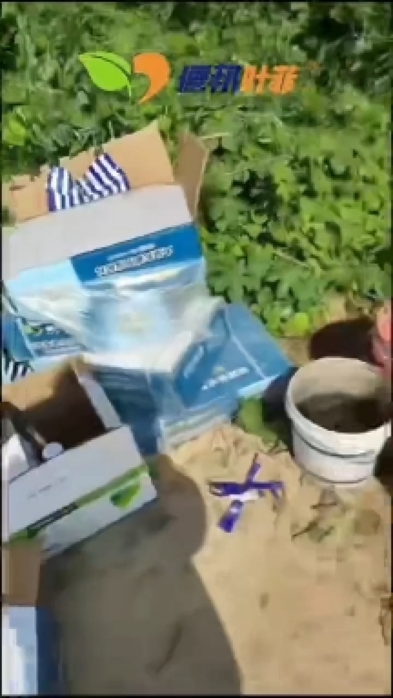 磷酸二氢钾超高磷钾，含量足，闪溶，成分