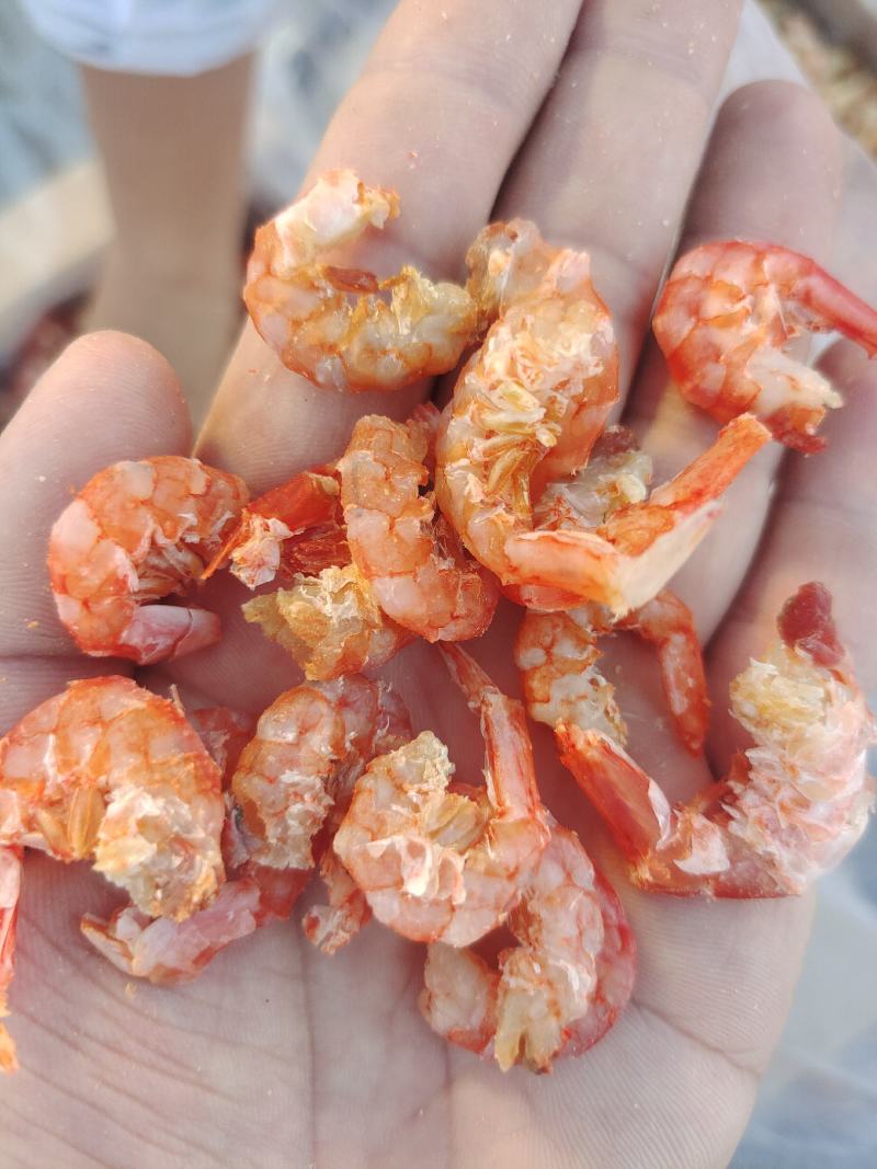 大虾干大海米干虾肉新品货品质可靠大量现货直播货