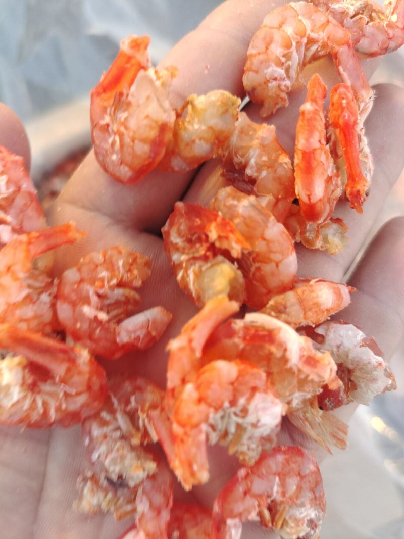 大虾干大海米干虾肉新品货品质可靠大量现货直播货