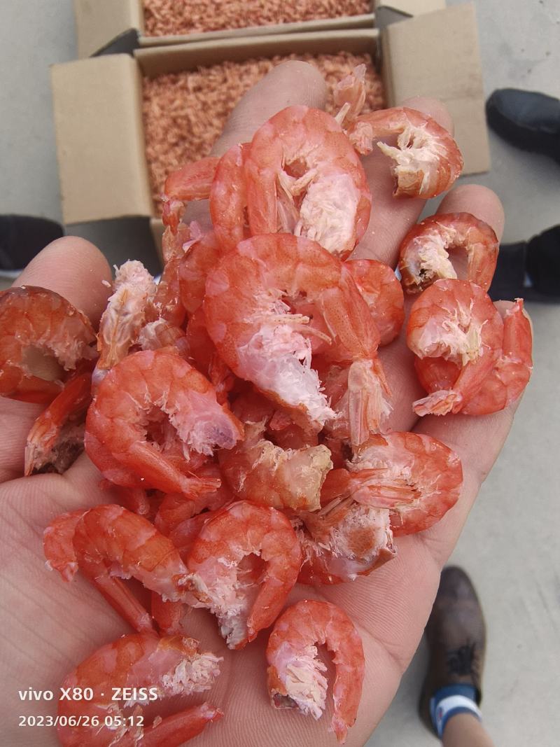 大虾干大海米干虾肉新品货品质可靠大量现货直播货