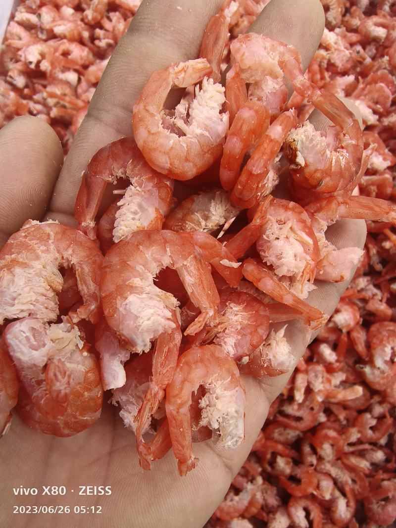 大虾干大海米干虾肉新品货品质可靠大量现货直播货
