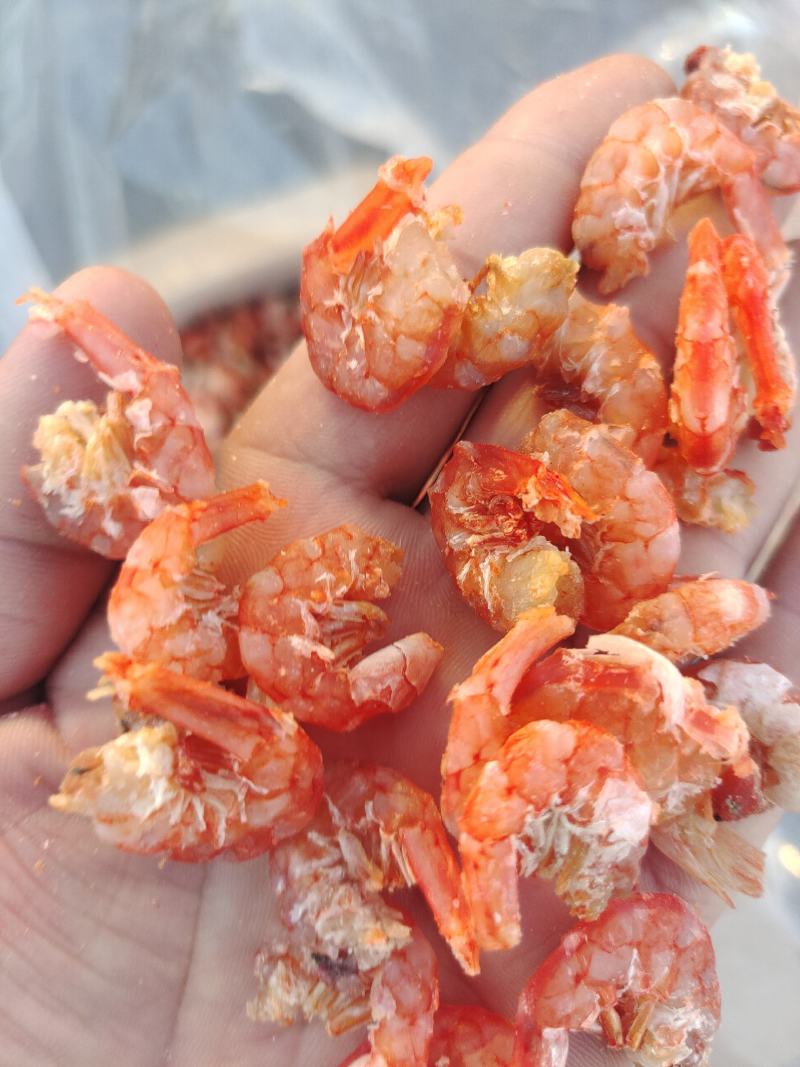 大虾干大海米干虾肉新品货品质可靠大量现货直播货