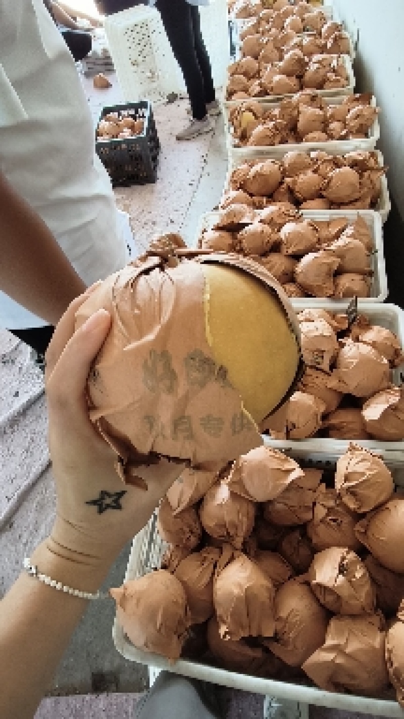 【牛商优选】山东精品丰水梨脆甜多汁大量供应对接电商商超