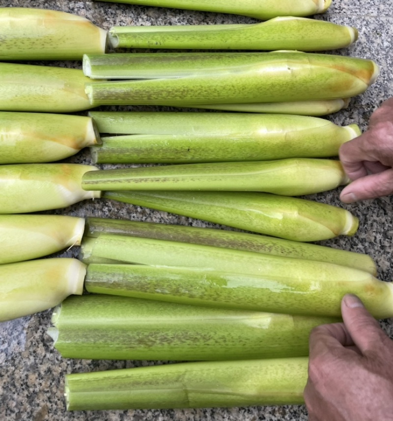 浙江金华茭白美人茭白象牙茭货好价低