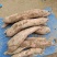 【大量上市】河北哈密红薯河北白红薯纯甜无丝一手货源欢迎咨询