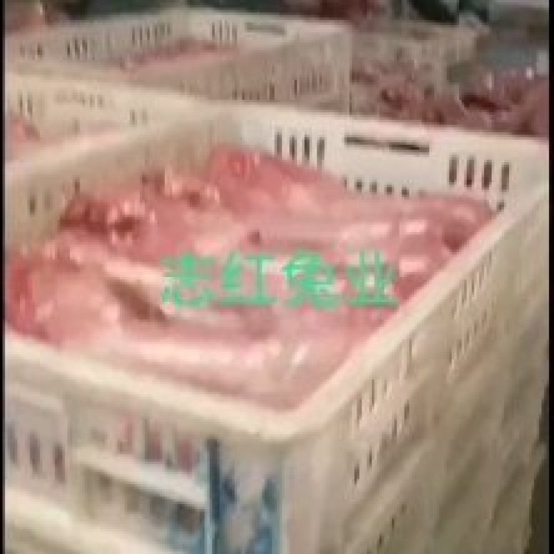 长期供应白条兔肉及分割兔产品全国各地均可发货