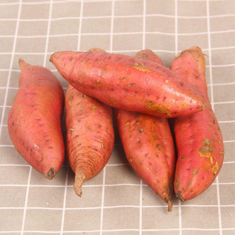 河北烟薯25，烤红薯常用对接电商商超，软糯香甜