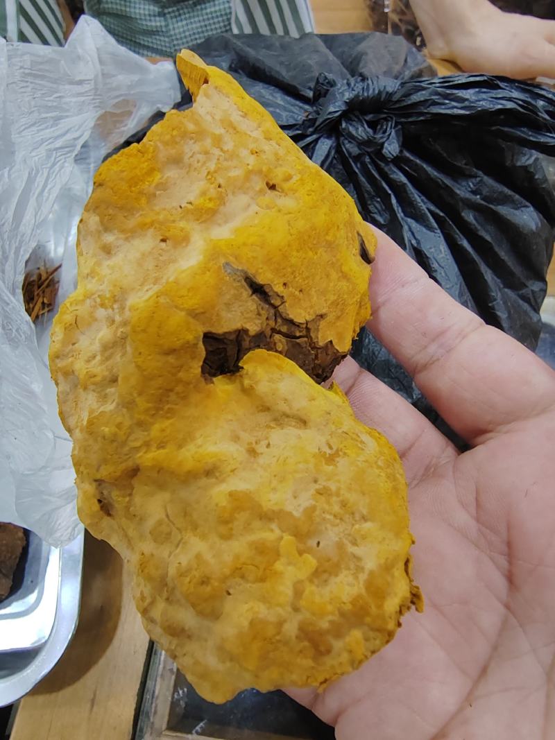 桑黄暴马丁岩黄大货批发产地货源价格便宜支持代发