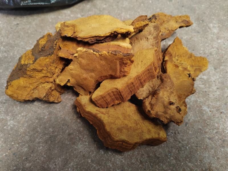 桑黄暴马丁岩黄大货批发产地货源价格便宜支持代发