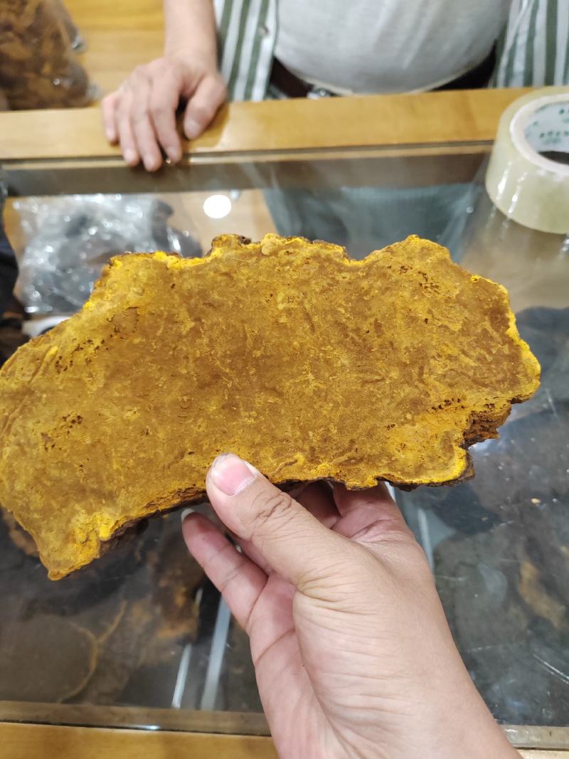 桑黄暴马丁岩黄大货批发产地货源价格便宜支持代发