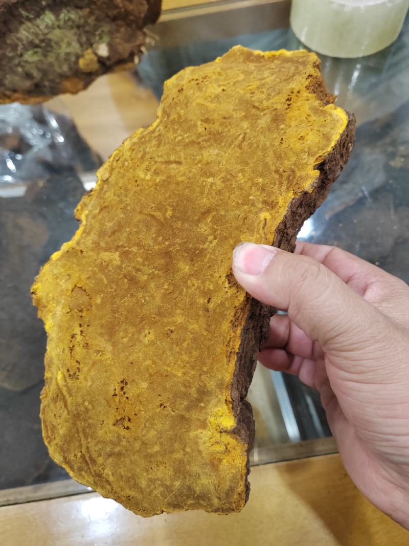 桑黄暴马丁岩黄大货批发产地货源价格便宜支持代发