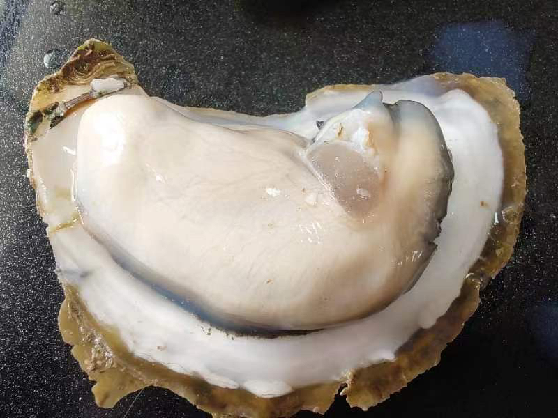 生蚝与珍珠的特写照片