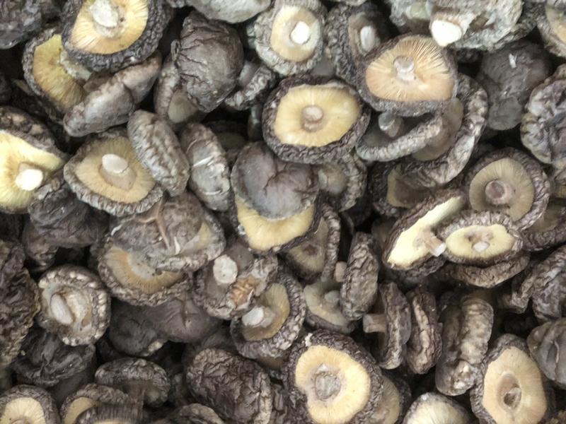 「干香菇」西峡香菇手先面菇厂家直发供应加工厂餐饮