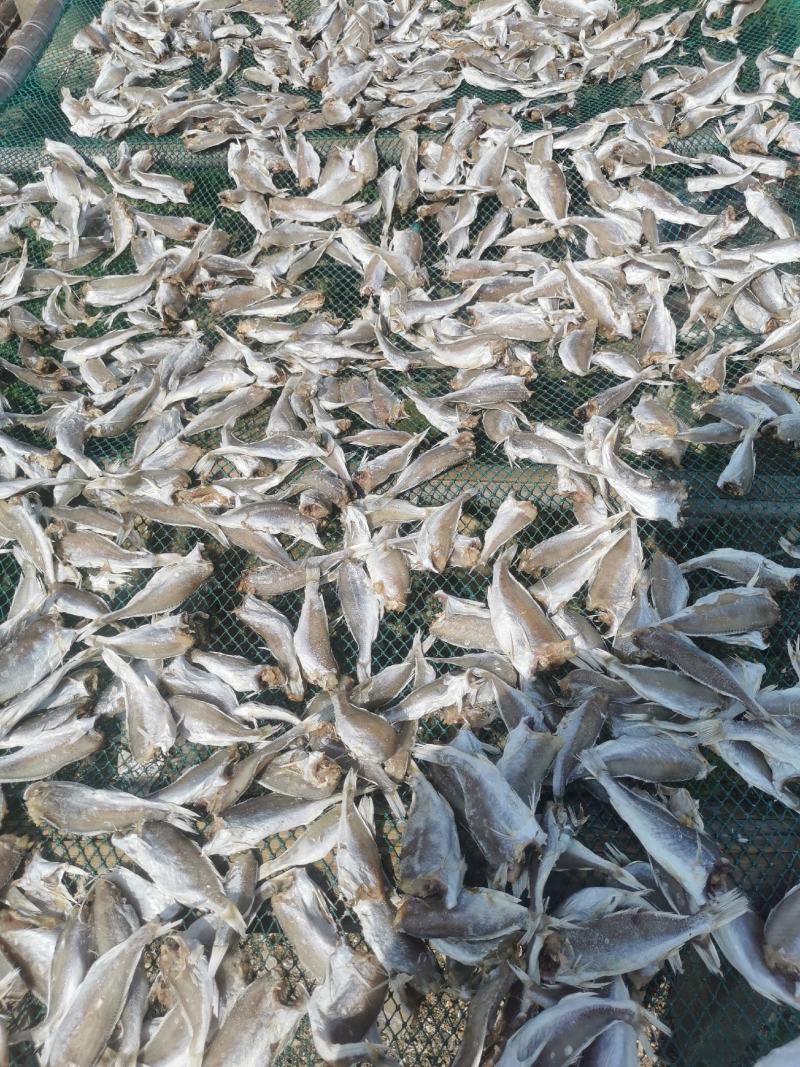 【牛商优选】广西北海精品黄鱼干规格齐全口感香脆精选