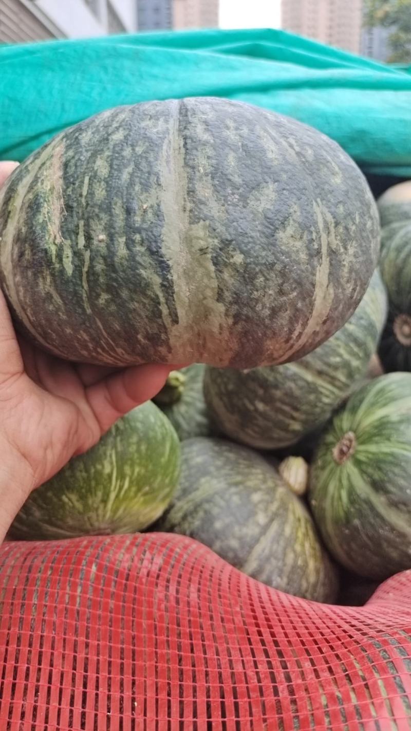 板栗南瓜