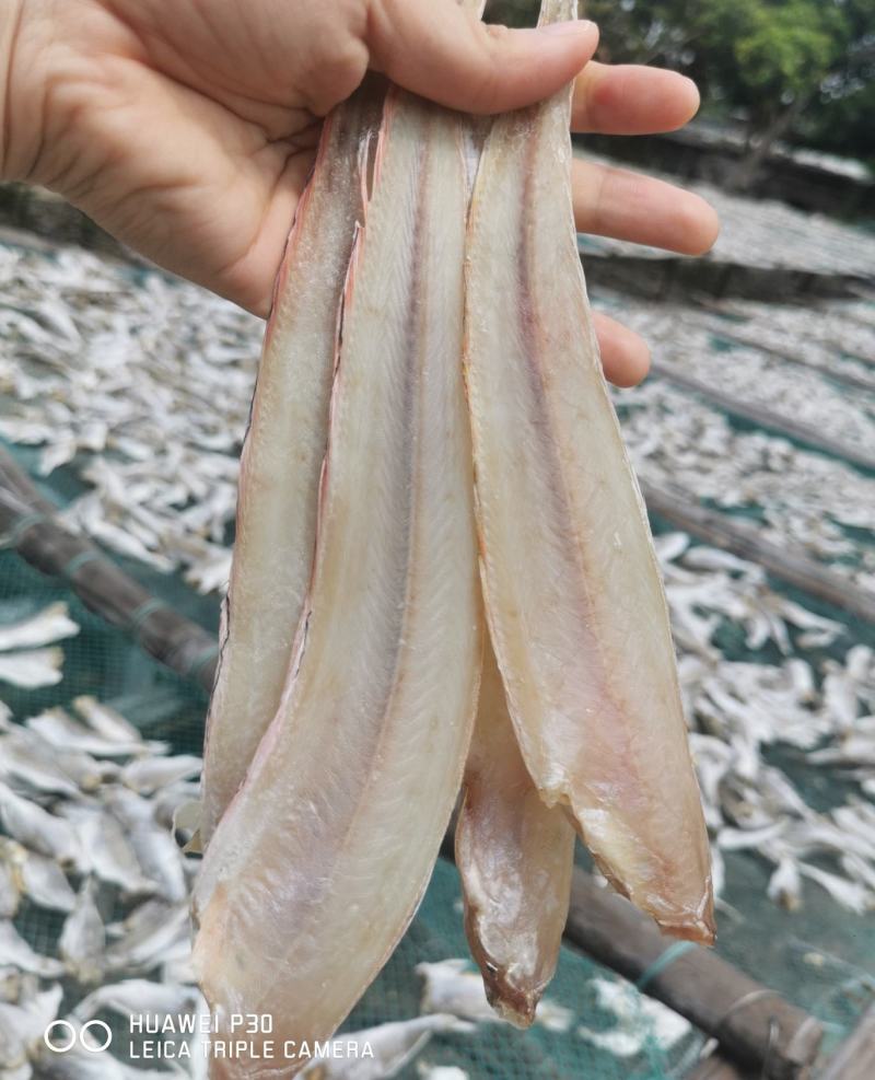 【红带鱼干】广西北海红带鱼干肉质细腻嫩滑刺少