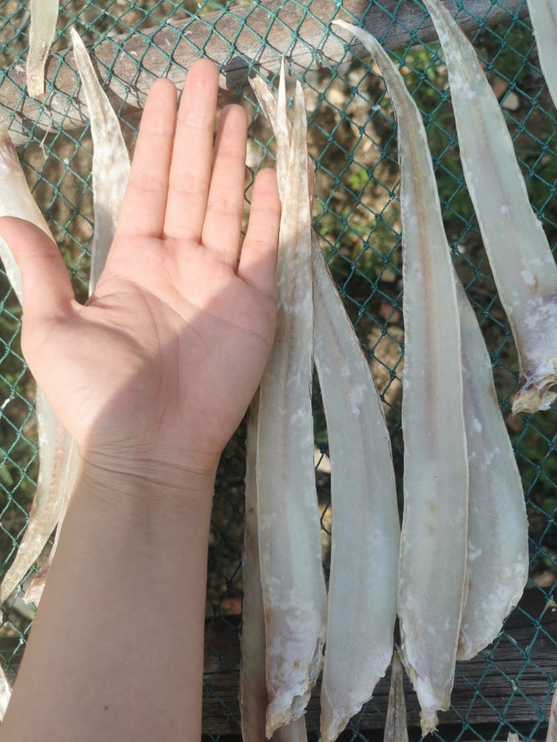 【红带鱼干】广西北海红带鱼干肉质细腻嫩滑刺少