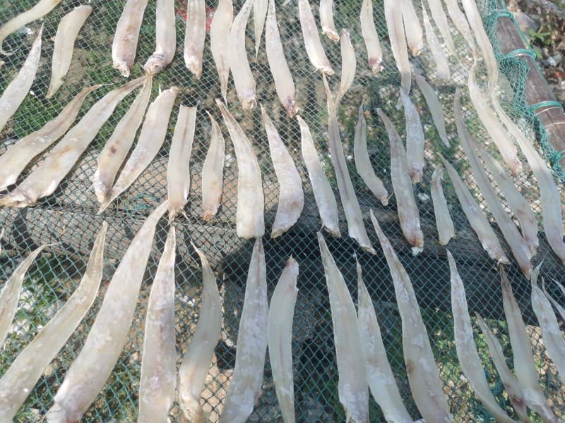 【红带鱼干】广西北海红带鱼干肉质细腻嫩滑刺少