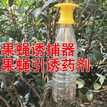 果蝇诱捕器果蝇引诱剂针蜂桔小蝇诱捕剂万蝇迷瓜果实蝇引诱