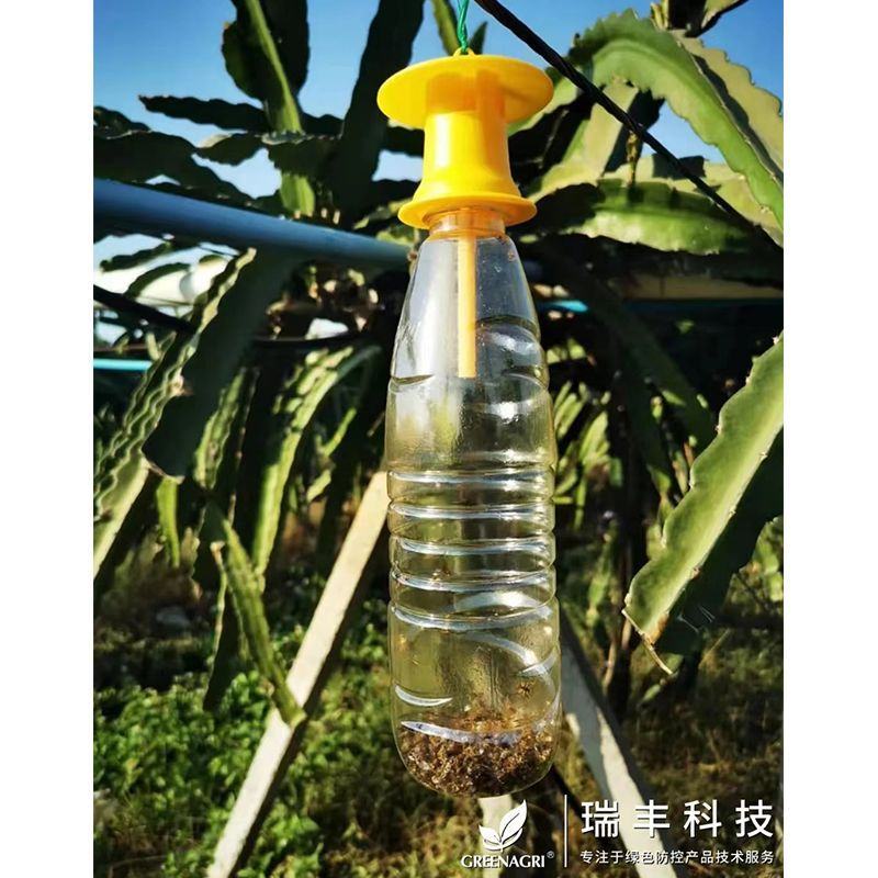 果蝇诱捕器果蝇引诱剂针蜂桔小蝇诱捕剂万蝇迷瓜果实蝇引诱