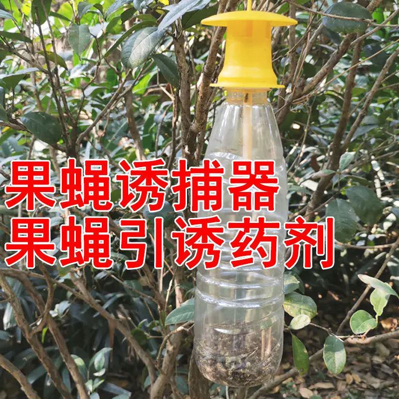 果蝇诱捕器果蝇引诱剂针蜂桔小蝇诱捕剂万蝇迷瓜果实蝇引诱
