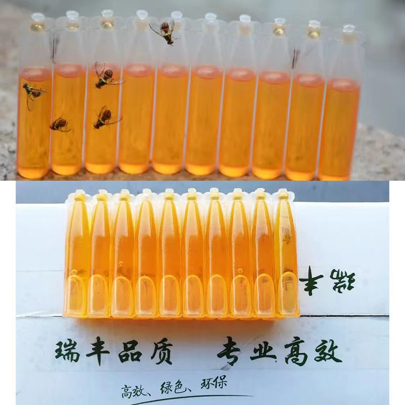 果蝇诱捕器果蝇引诱剂针蜂桔小蝇诱捕剂万蝇迷瓜果实蝇引诱