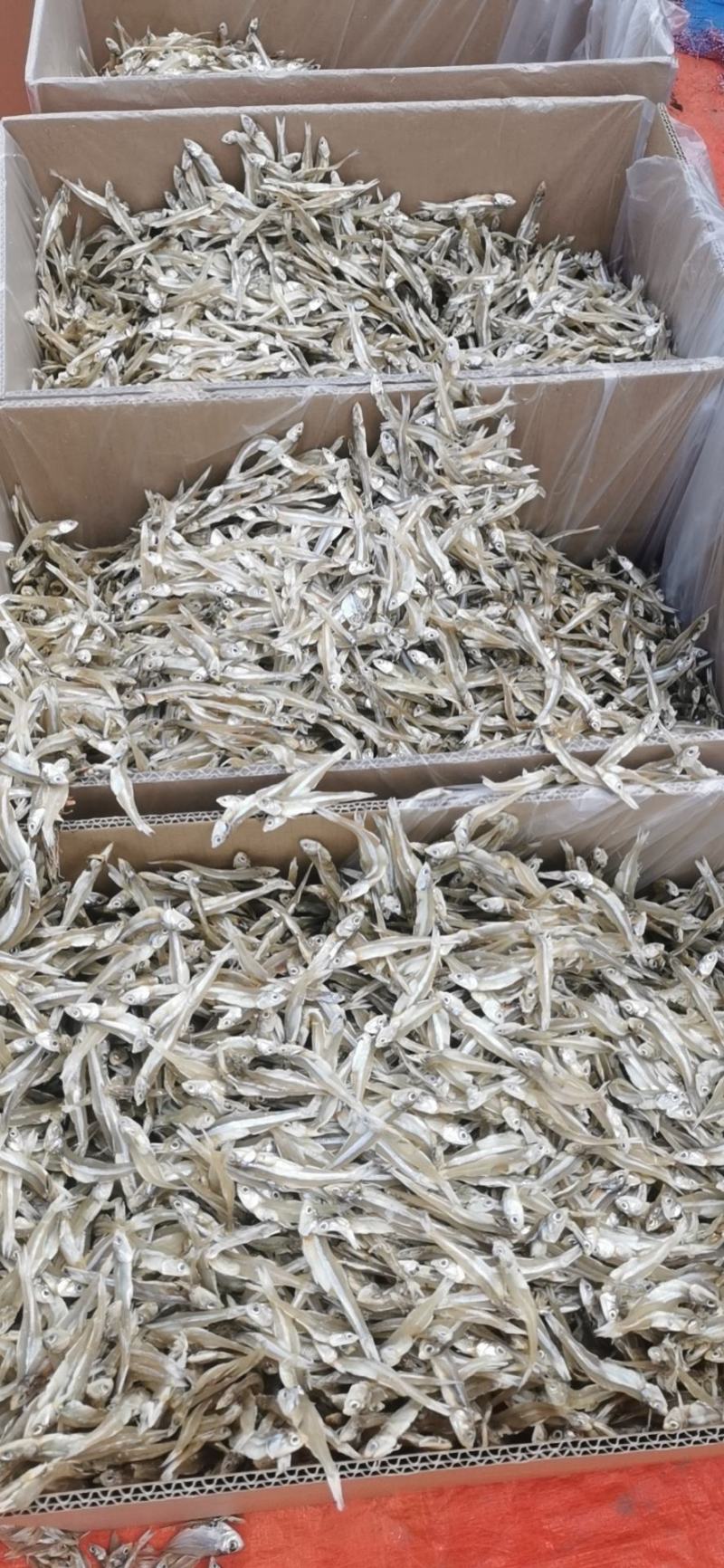 【牛商优选】精品银鱼干产地批发一手货源品质保证电联