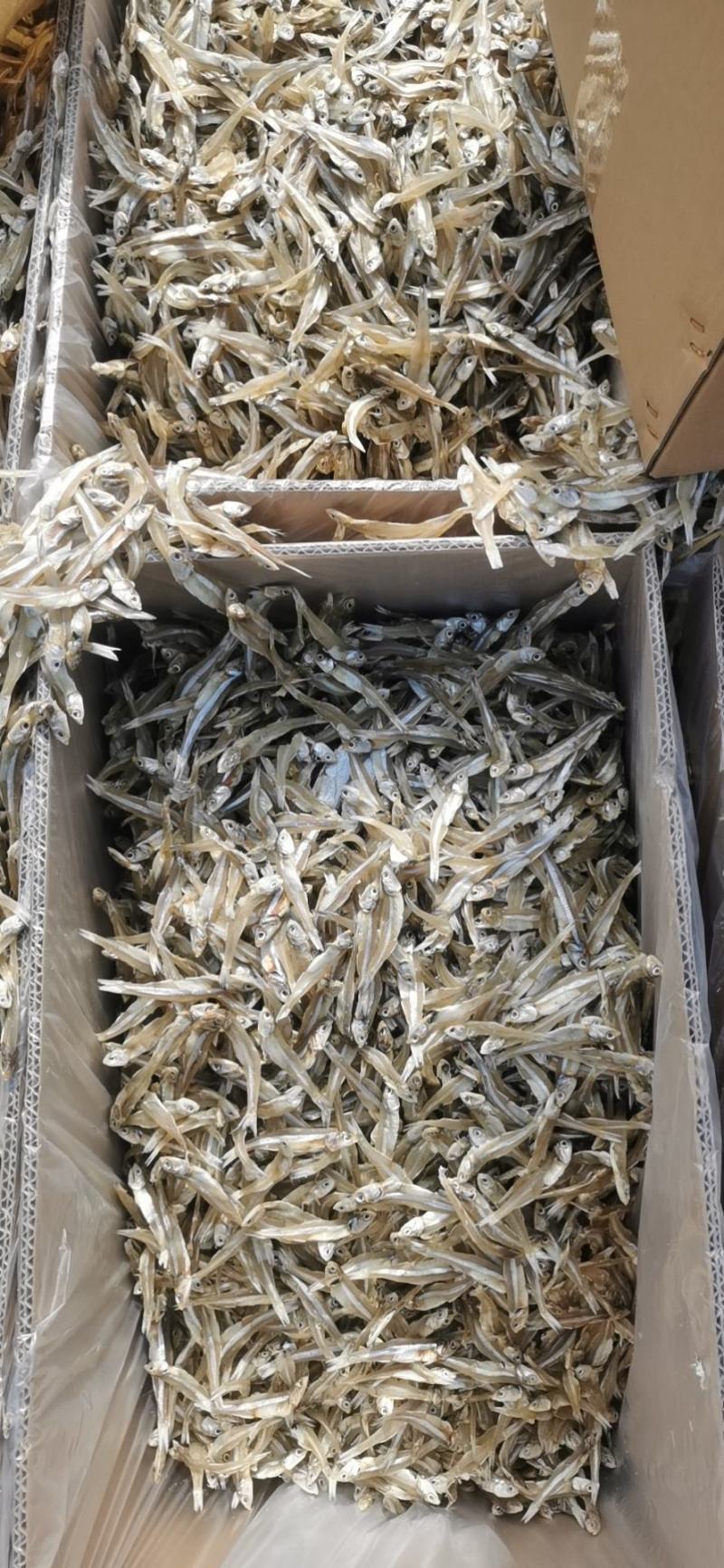 【牛商优选】精品银鱼干产地批发一手货源品质保证电联