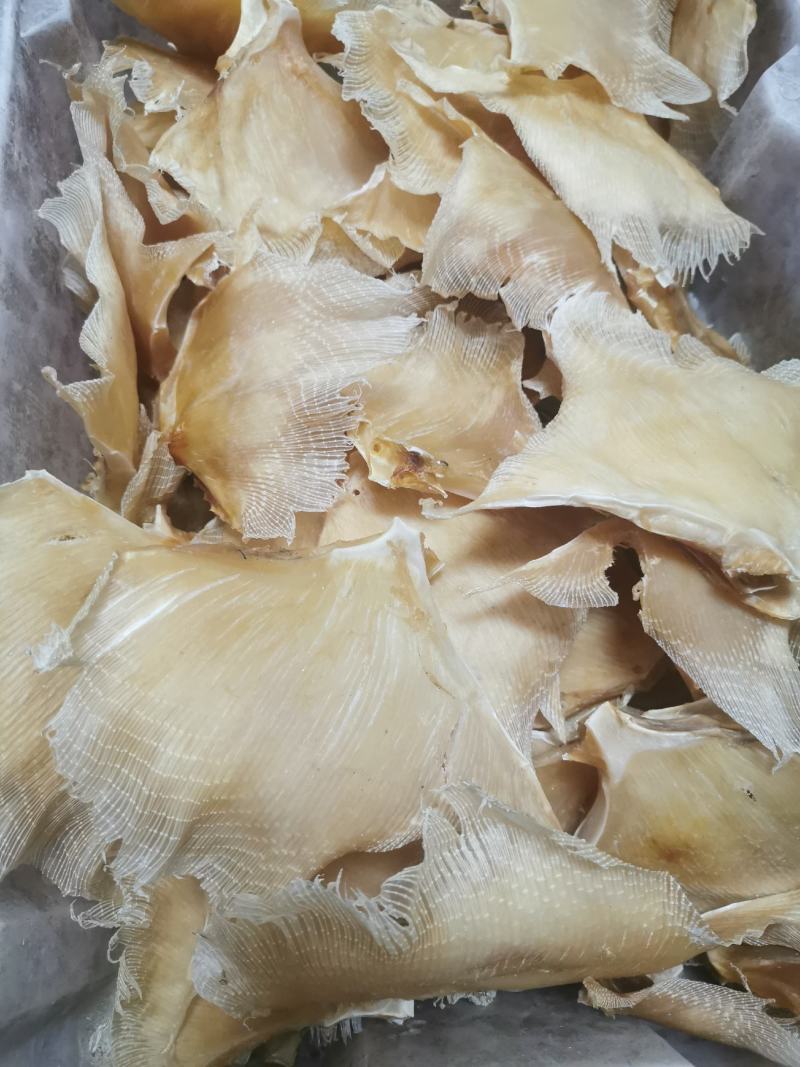 【精选】北海浦鱼翅大量供应一手货源品质保证量大从优