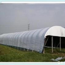 进口黑白膜，种植大棚家禽养殖，食用菌类，搭建雨棚