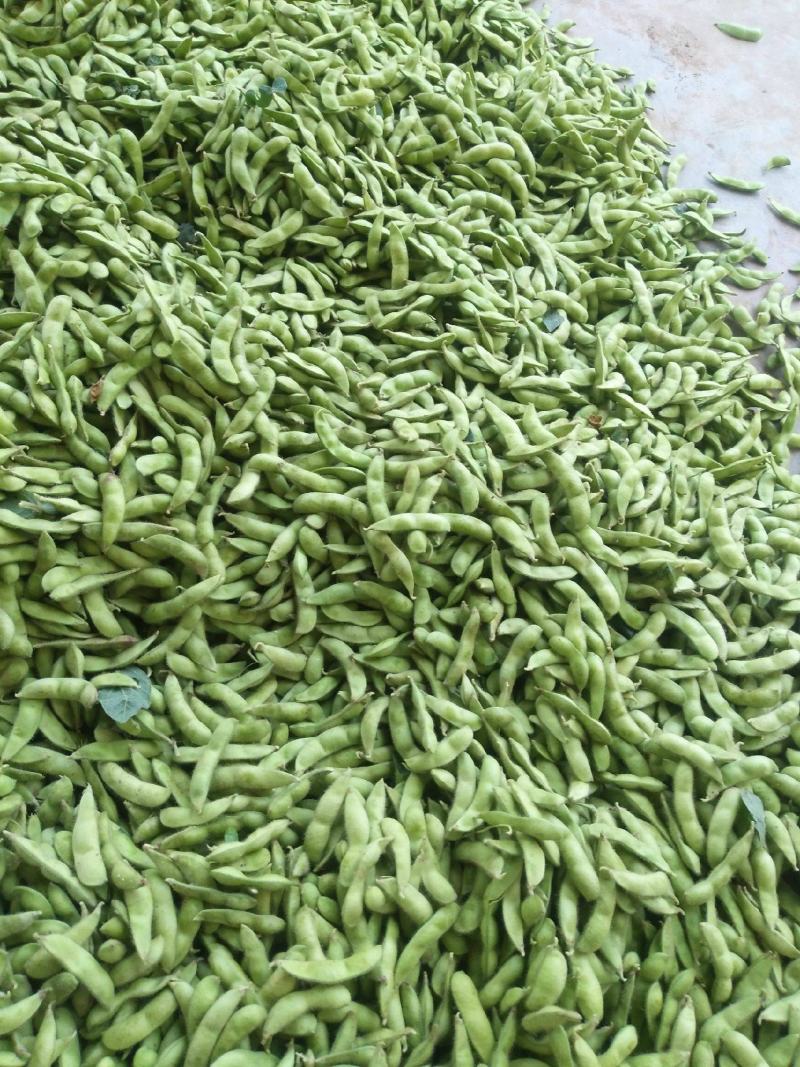 新鲜毛豆