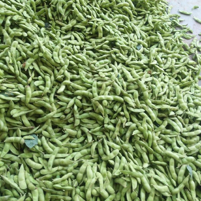新鲜毛豆