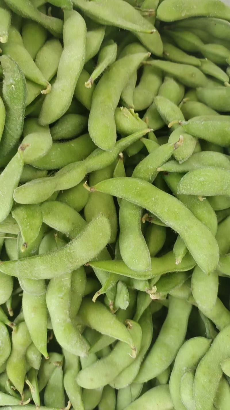 75速冻毛豆2个柜