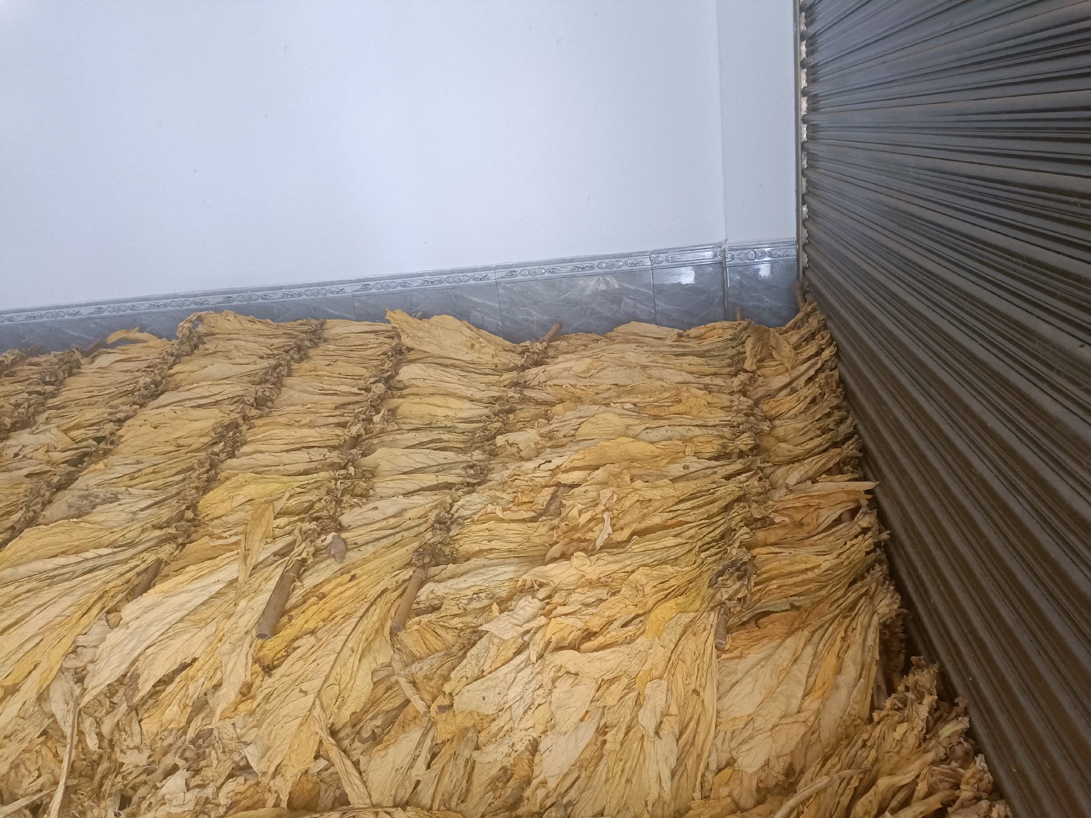 熟地黄成品与包装展示