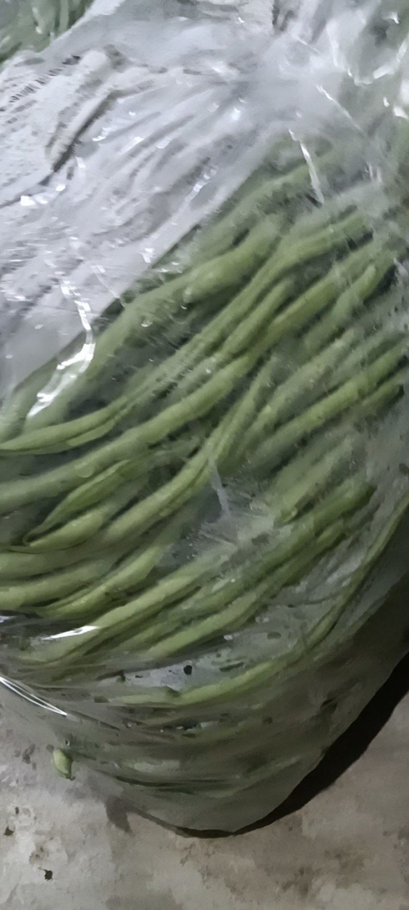 云南无筋豆大量上市