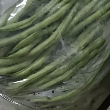 云南无筋豆大量上市
