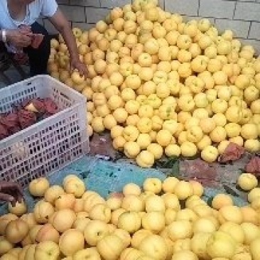 中油八大量上市