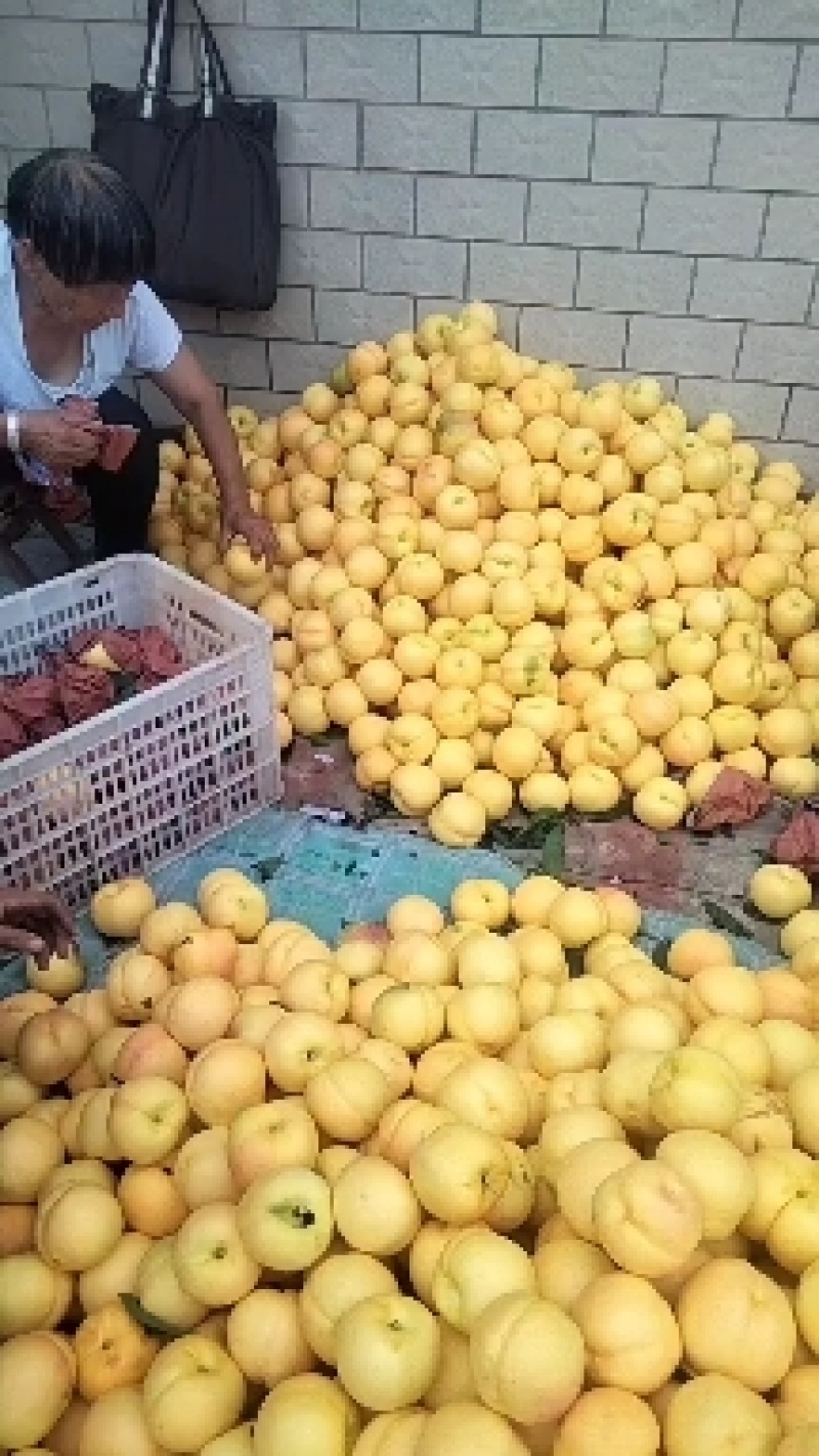 中油八大量上市