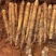 广西黑鬼白鬼滚地龙粉糯山药直供电商欢迎采购